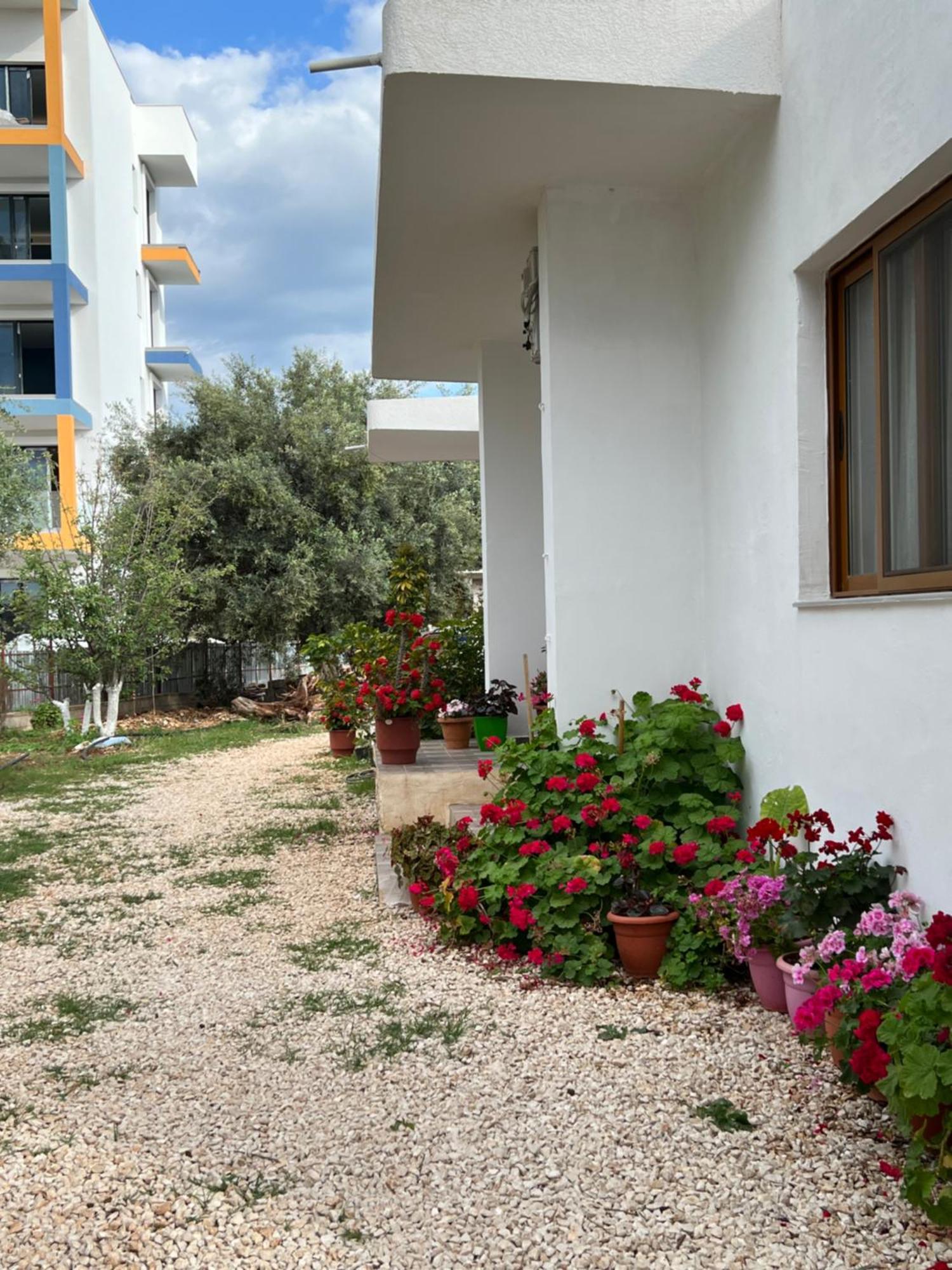 Dea Apartament 卡萨米尔 外观 照片